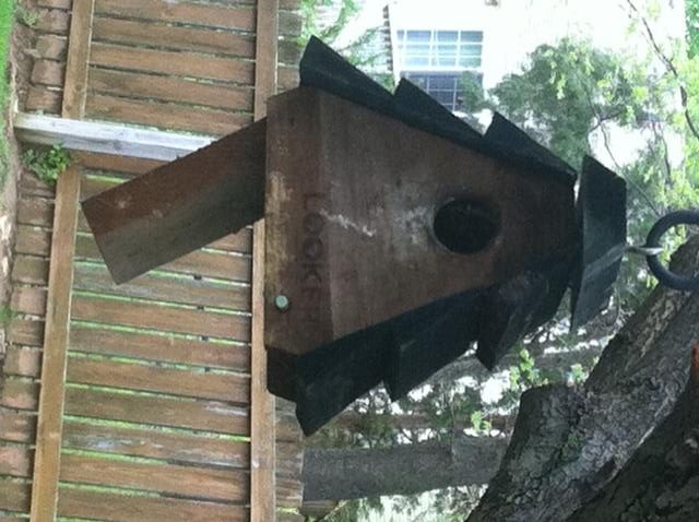 Friday’s Storm Damage